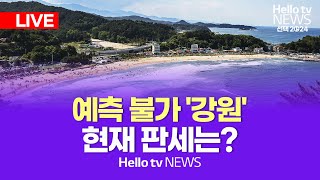 [선택2024] 총선특집 헬로tv뉴스 '예측불가 강원 현재 판세는?'