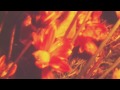 tamaryn the garden official video