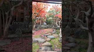 japan in december #autumn #fall #kyoto #travel #ryokan -#stay #shorts #garden