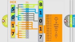 DTC Fiat B1017-19 Short Explanation