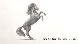 How to Draw a Prancing Horse With Pencil