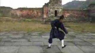 Wudang Xing Yi Quan