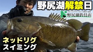 春の野尻湖解禁日：ネッドリグでスモールマウスバス釣り　2017年4月22日　野尻湖釣具店